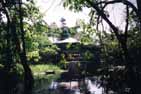 Urwald Hotel